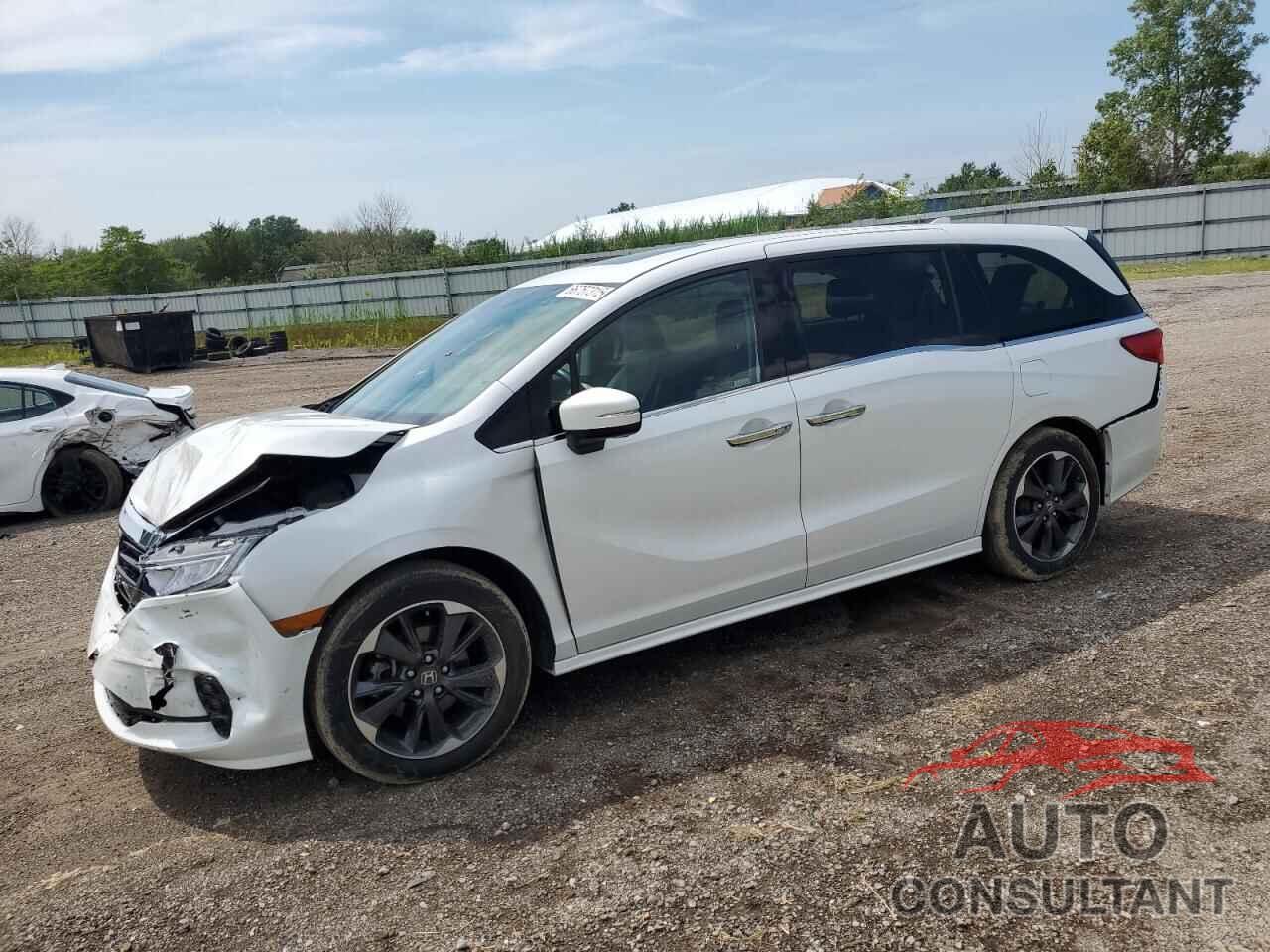 HONDA ODYSSEY 2024 - 5FNRL6H91RB016601