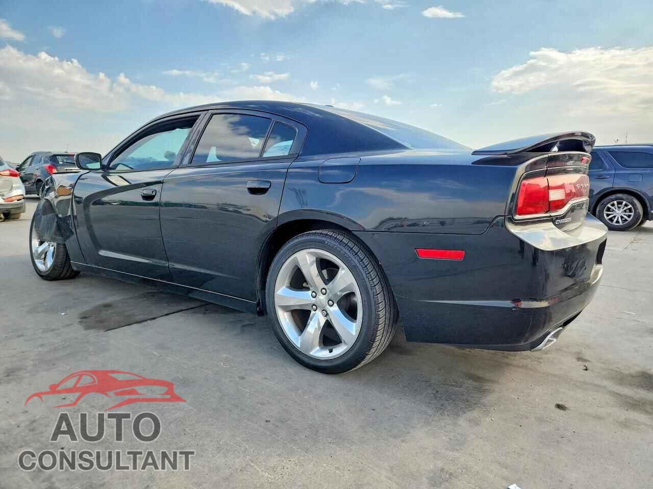 DODGE CHARGER 2013 - 2C3CDXHG2DH555727