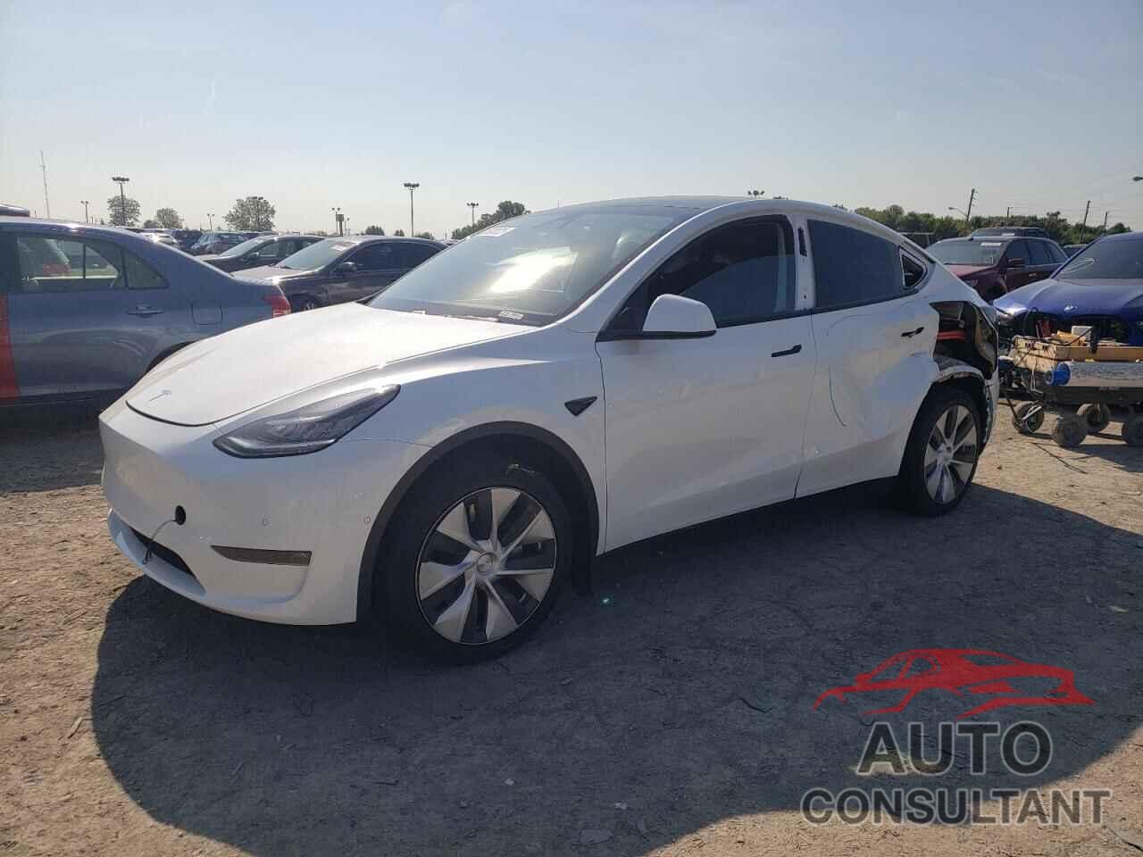 TESLA MODEL Y 2020 - 5YJYGDEE5LF043779