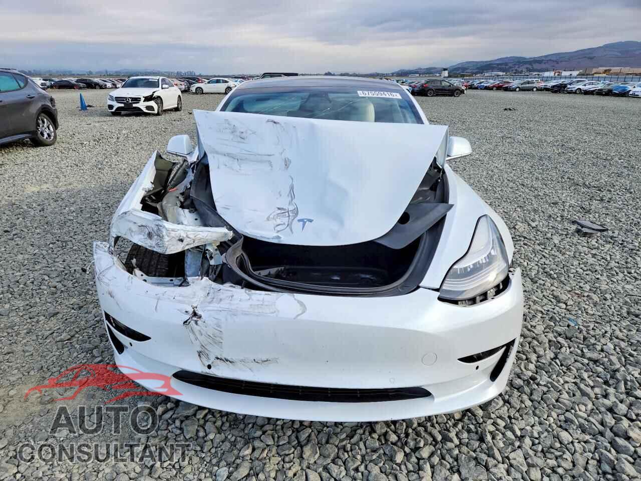 TESLA MODEL 3 2019 - 5YJ3E1EB2KF494820