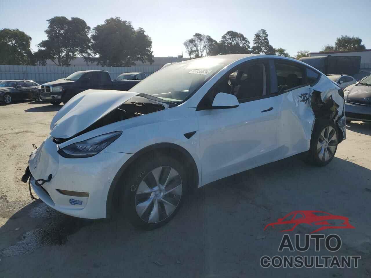 TESLA MODEL Y 2021 - 5YJYGDEE2MF086669