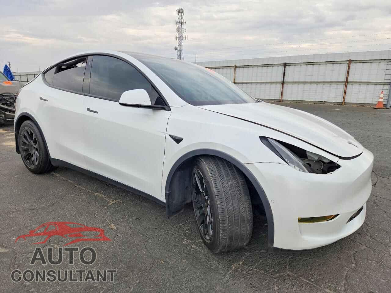 TESLA MODEL Y 2021 - 5YJYGDEE9MF095675