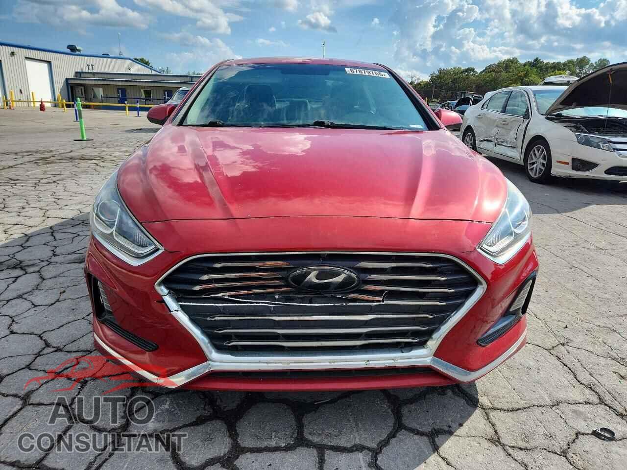 HYUNDAI SONATA 2019 - 5NPE24AF8KH820357
