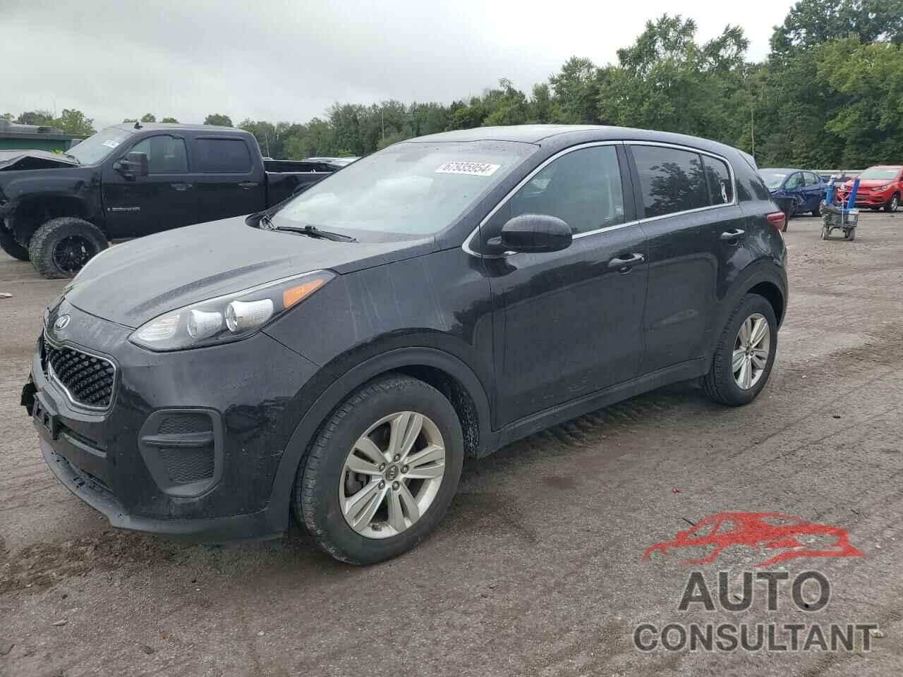 KIA SPORTAGE 2017 - KNDPM3AC8H7300255