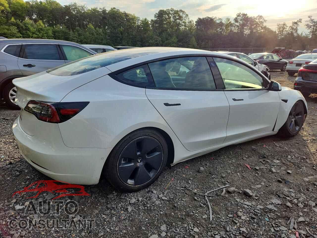 TESLA MODEL 3 2021 - 5YJ3E1EA1MF087940