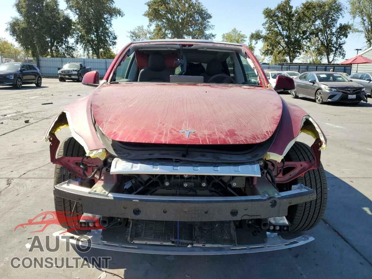 TESLA MODEL Y 2024 - 7SAYGDEE4RF056552