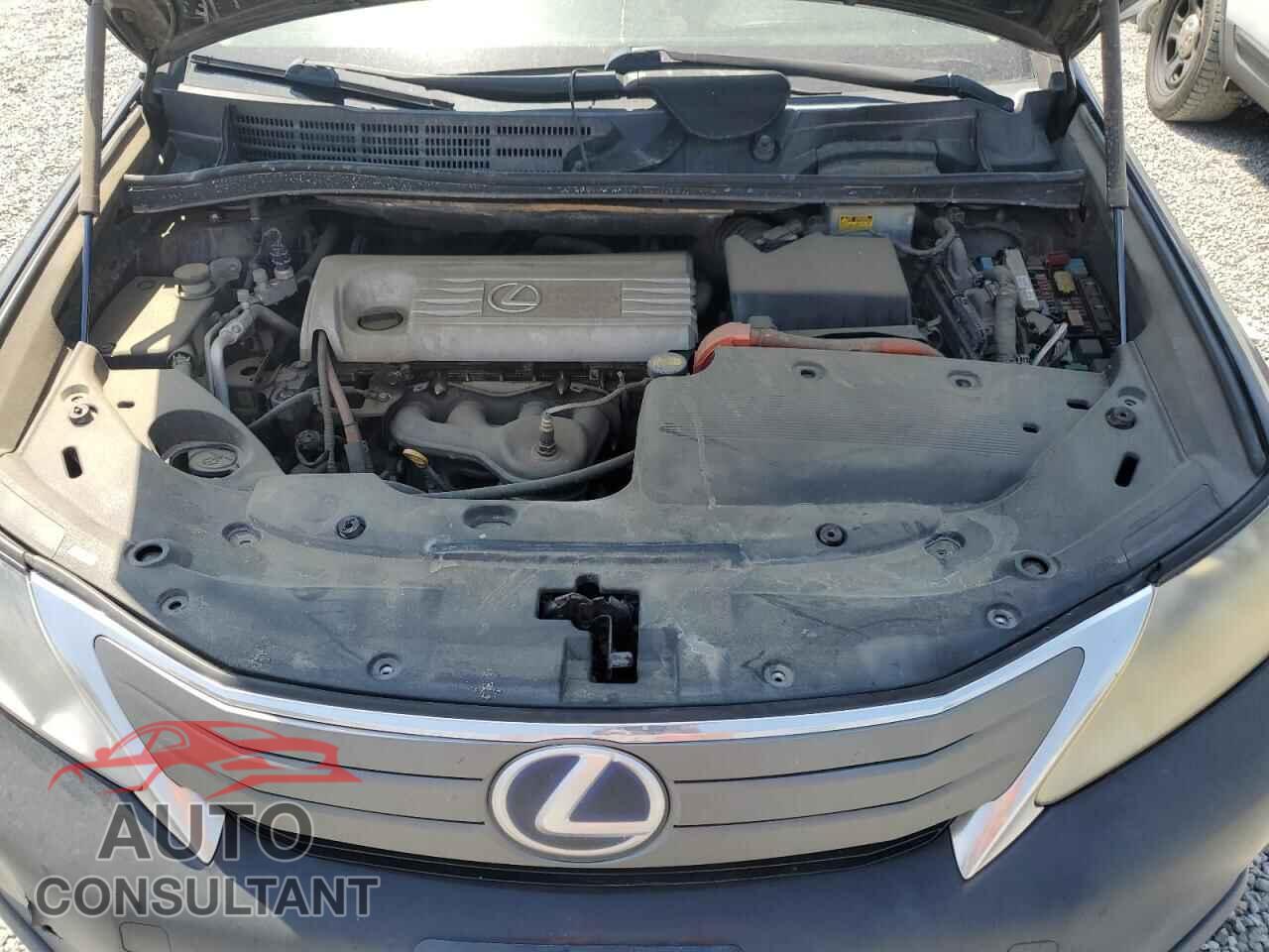 LEXUS HS 2010 - JTHBB1BA8A2013503
