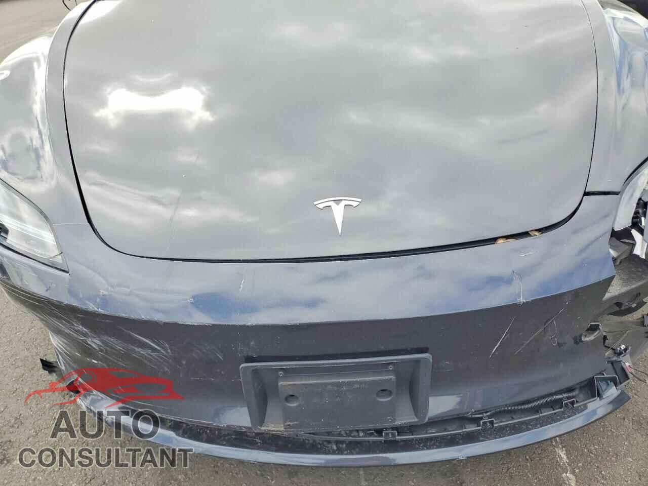 TESLA MODEL 3 2025 - 5YJ3E1EA9SF059073