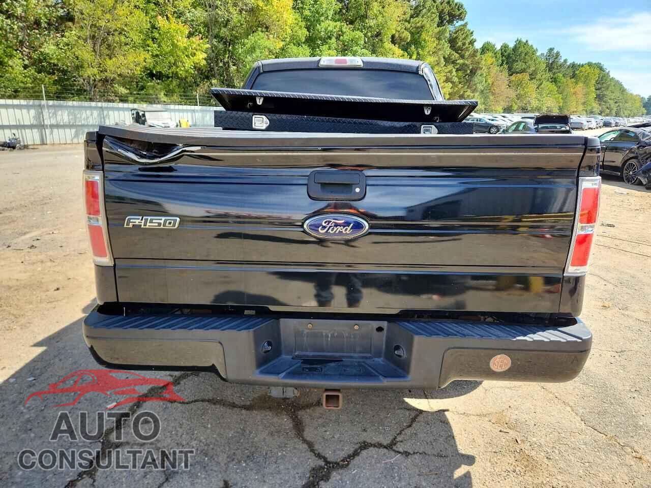 FORD F150 2013 - 1FTFX1CF8DFD15529