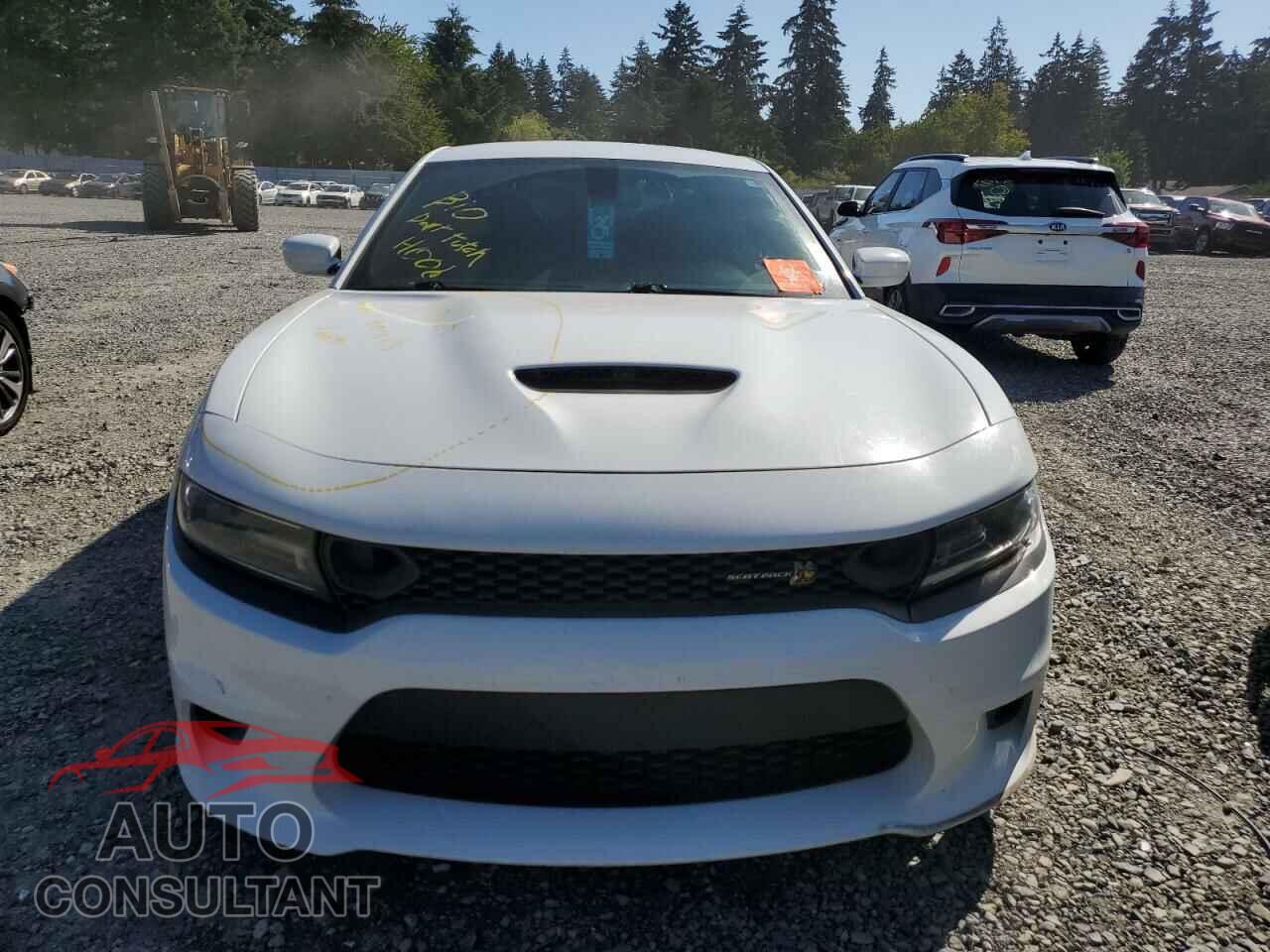 DODGE CHARGER 2019 - 2C3CDXGJ5KH665990