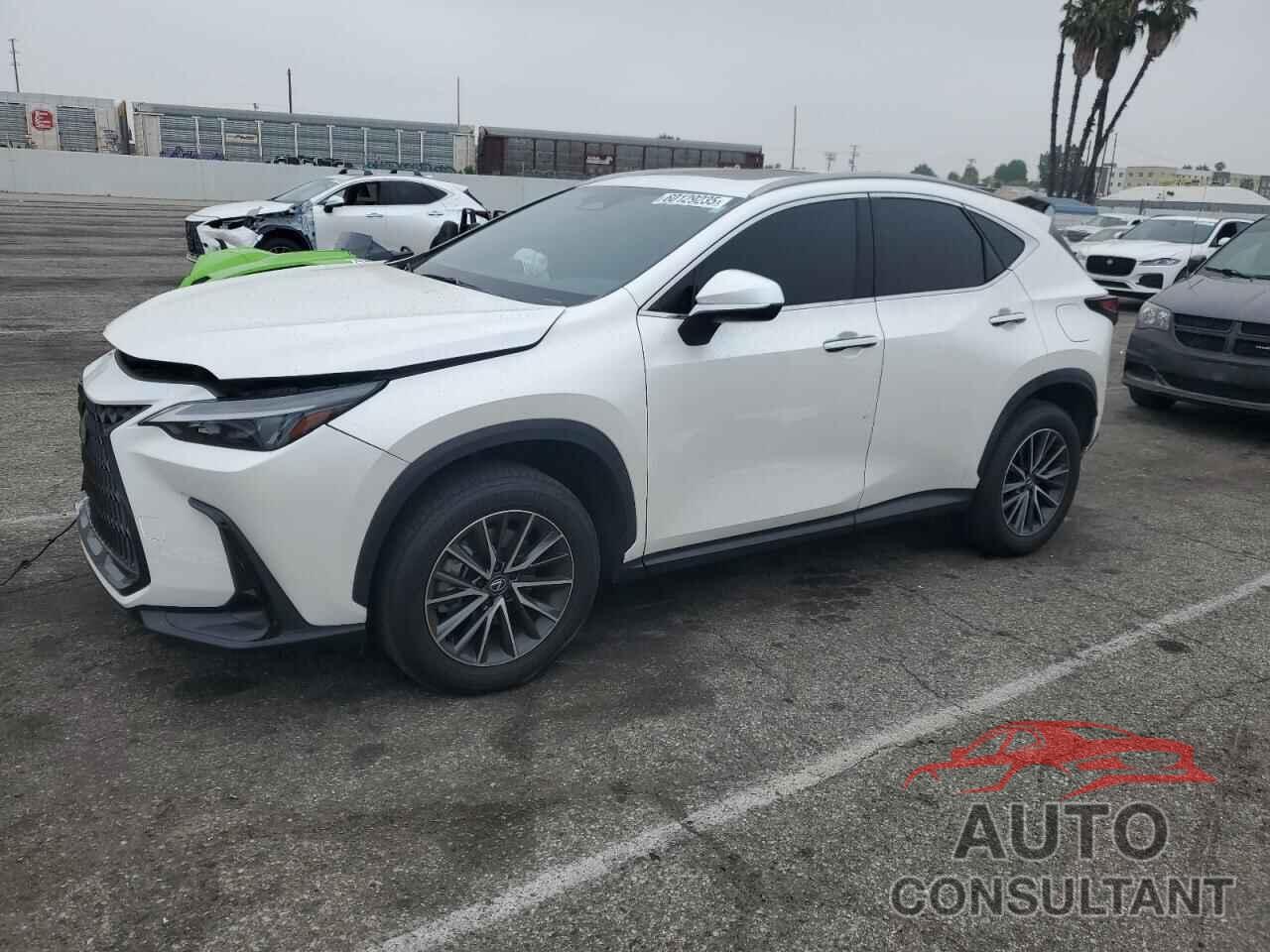 LEXUS NX 350 BAS 2024 - JTJAGCEZ1R5007996