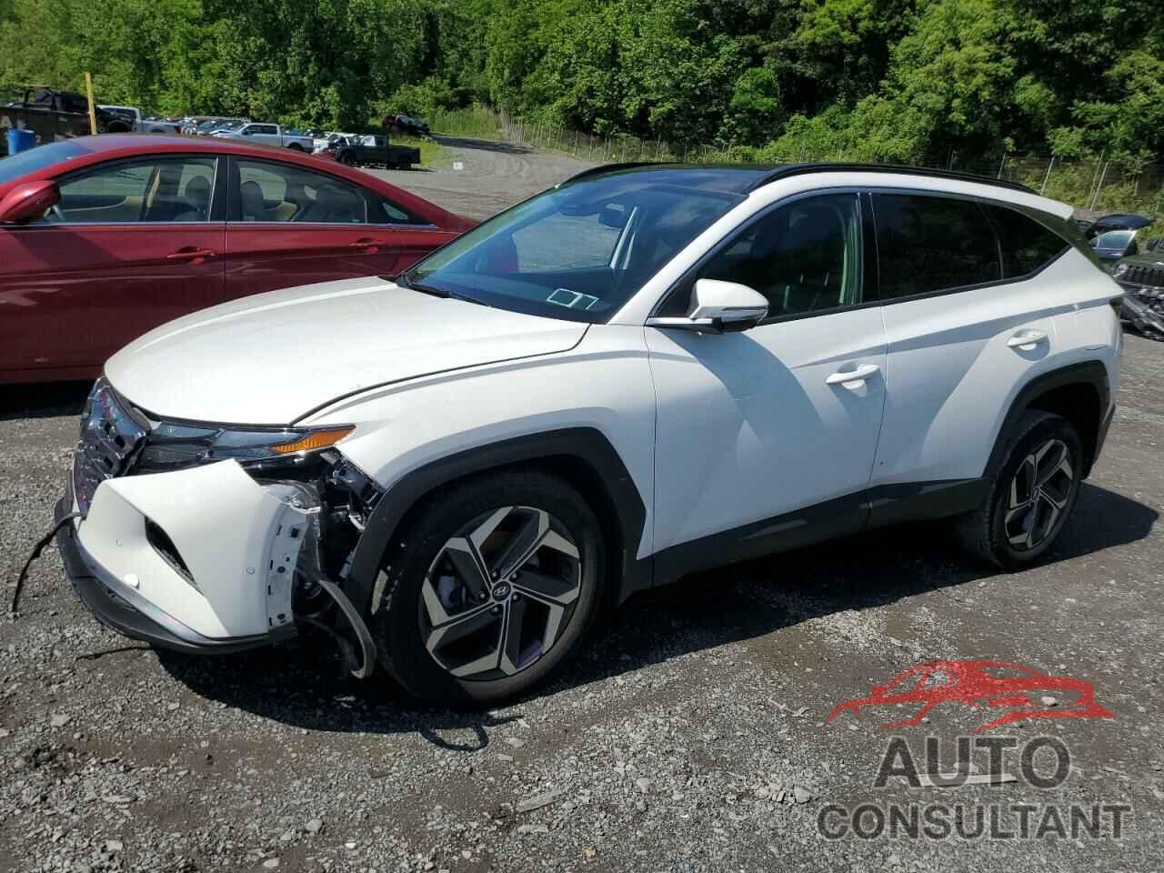 HYUNDAI TUCSON 2023 - 5NMJECAE7PH207075