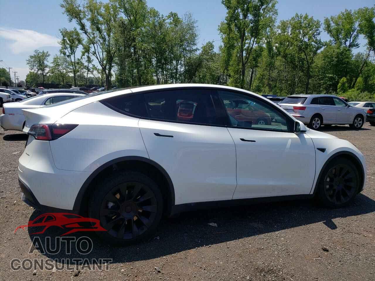 TESLA MODEL Y 2023 - 7SAYGAEE8PF783415