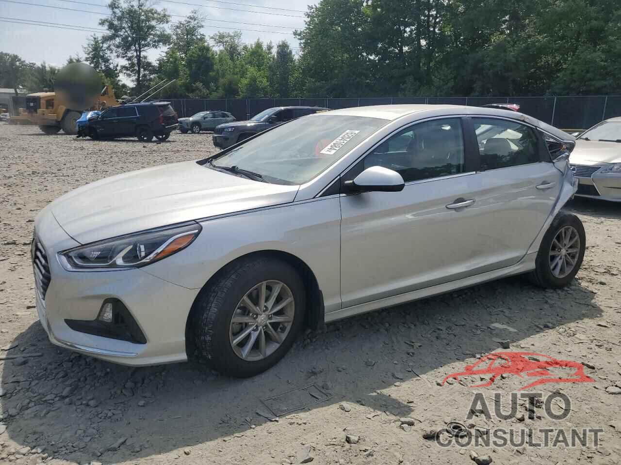 HYUNDAI SONATA 2019 - 5NPE24AFXKH795042