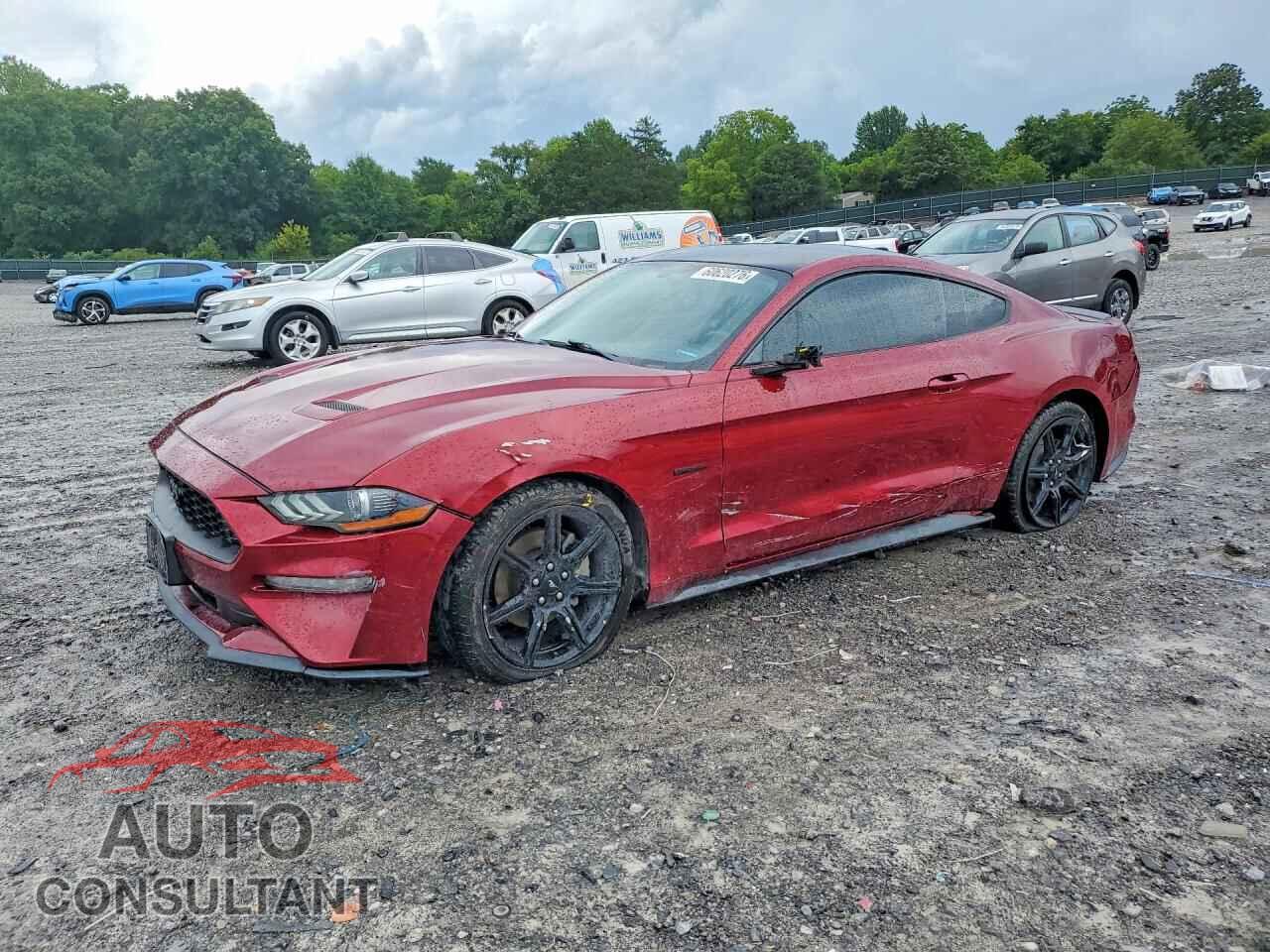FORD MUSTANG 2019 - 1FA6P8TH4K5196610