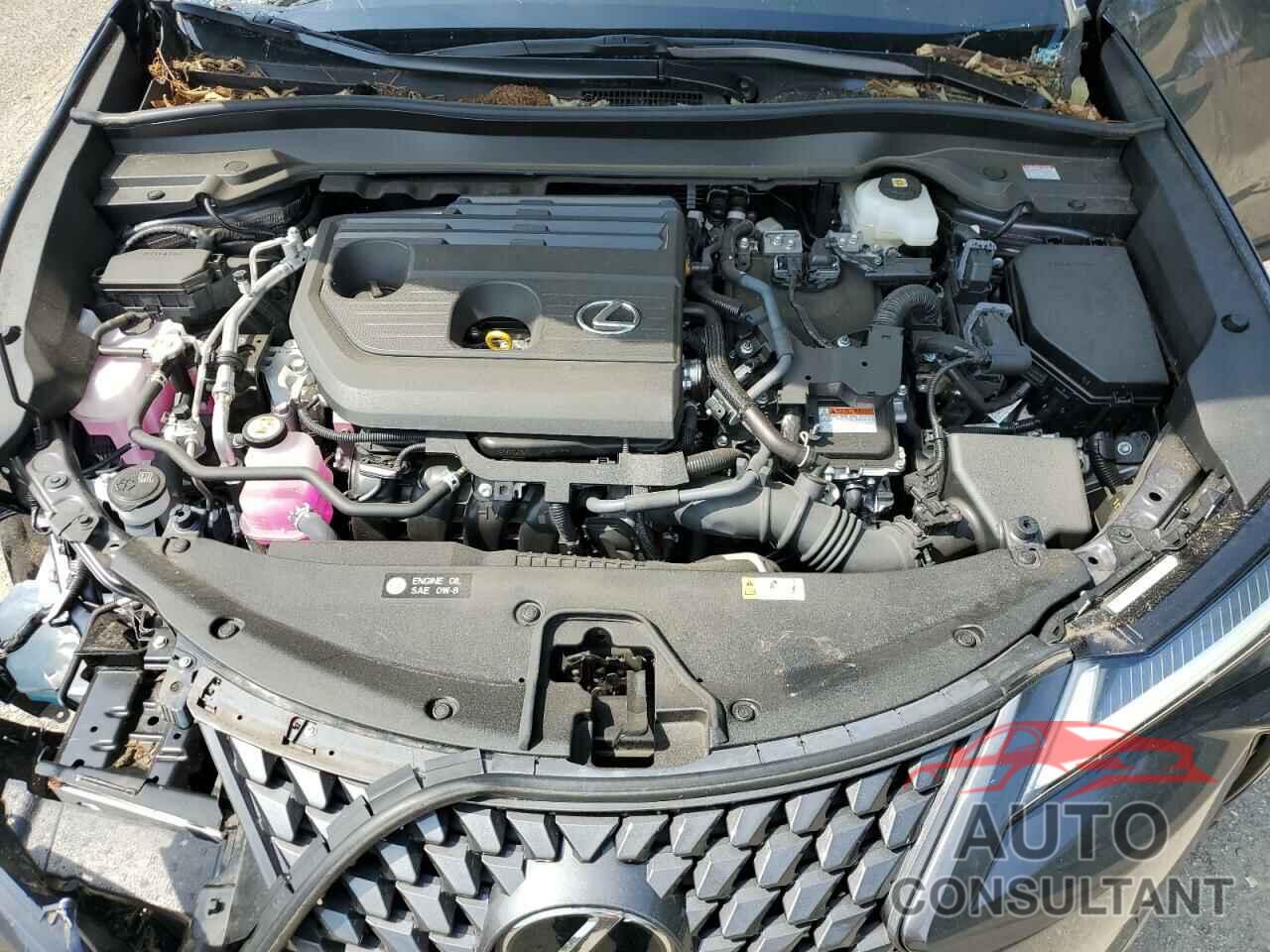 LEXUS UX 300H BA 2025 - JTHUCJDH7S2000551