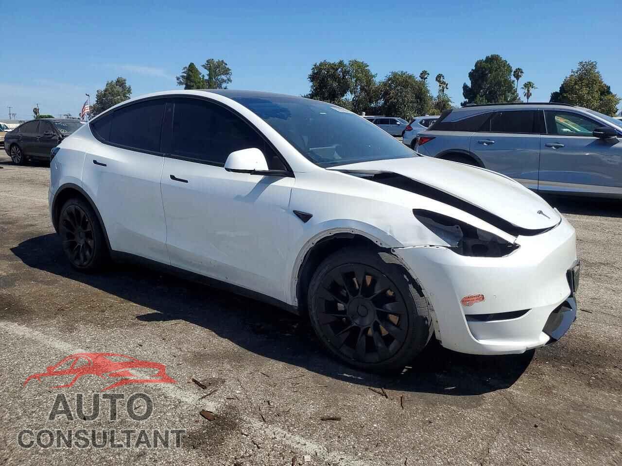 TESLA MODEL Y 2020 - 5YJYGDEE0LF010902
