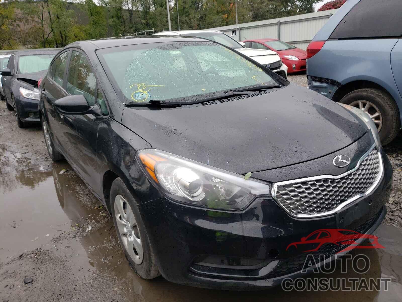 KIA FORTE 2016 - KNAFK4A68G5528085