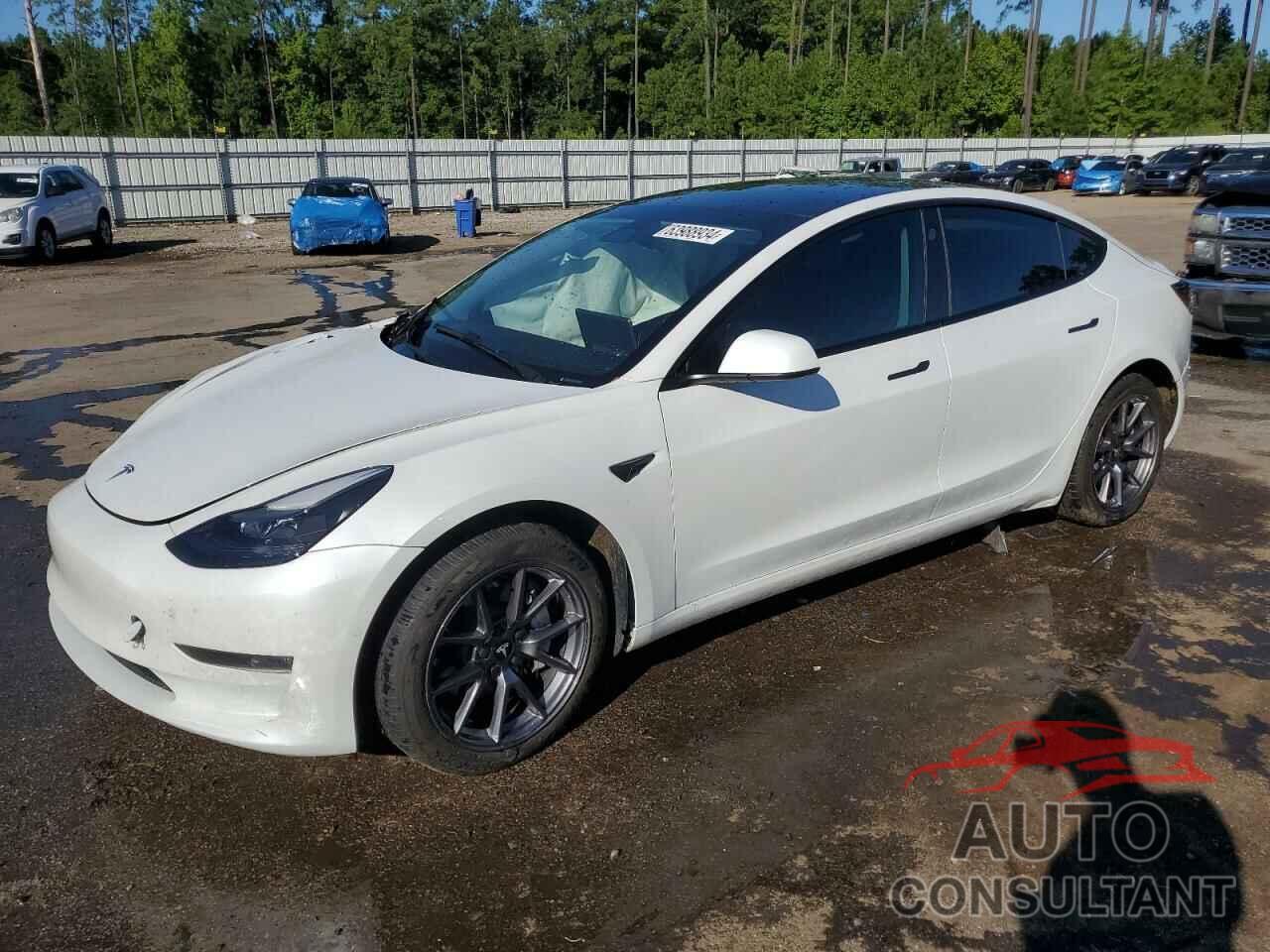 TESLA MODEL 3 2022 - 5YJ3E1EBXNF353451