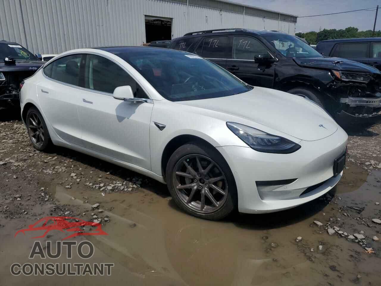 TESLA MODEL 3 2019 - 5YJ3E1EB5KF199632