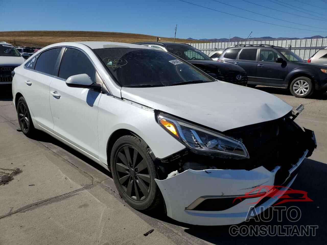 HYUNDAI SONATA 2017 - 5NPE24AF2HH491731