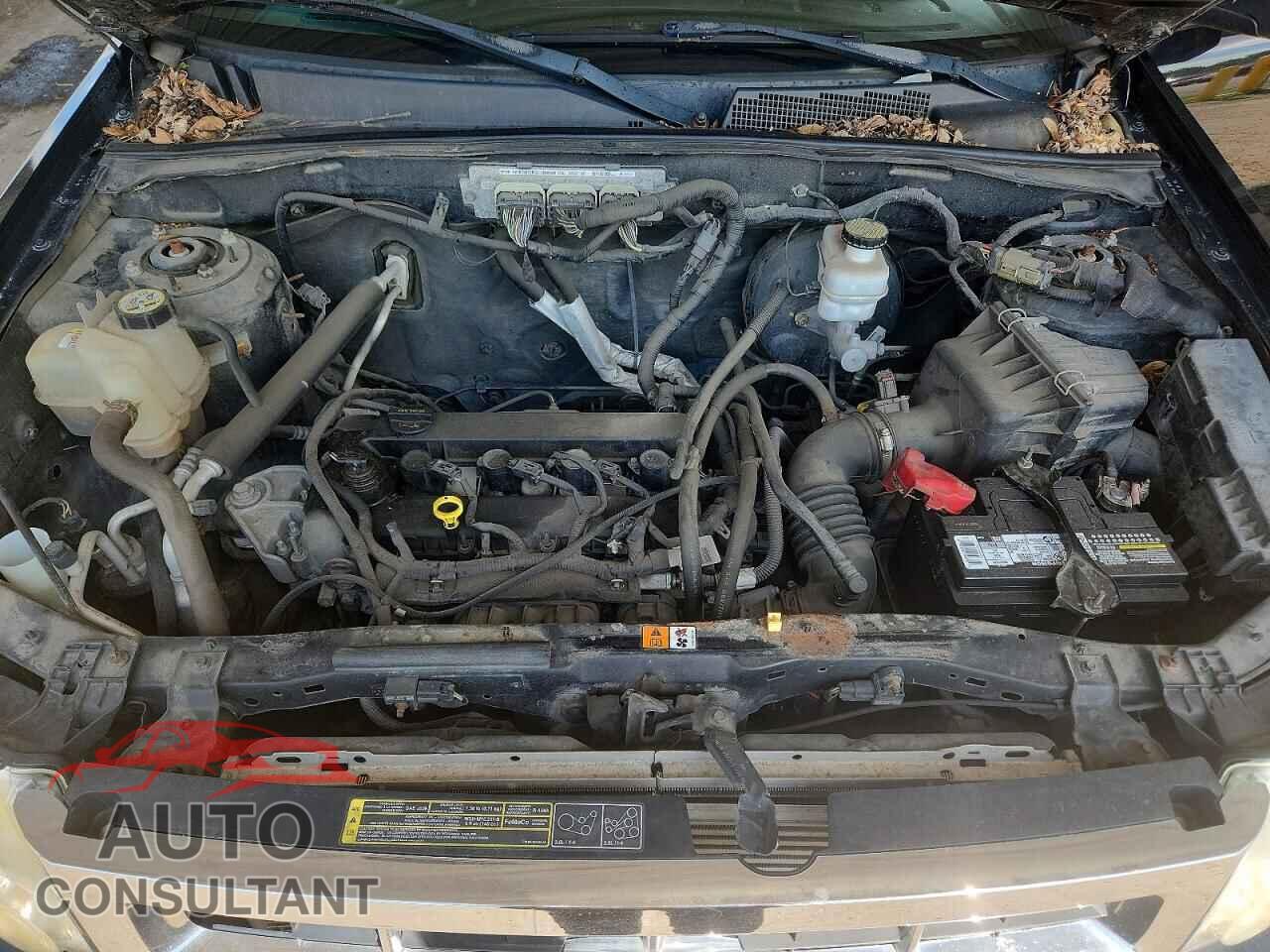 FORD ESCAPE 2010 - 1FMCU0D72AKD03484