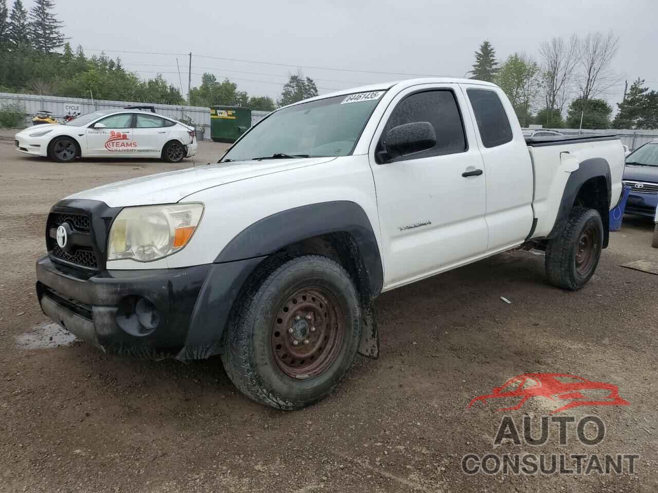 TOYOTA TACOMA 2011 - 5TFUX4EN3BX001386