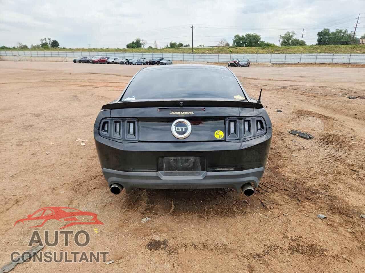 FORD MUSTANG 2011 - 1ZVBP8CF8B5161945
