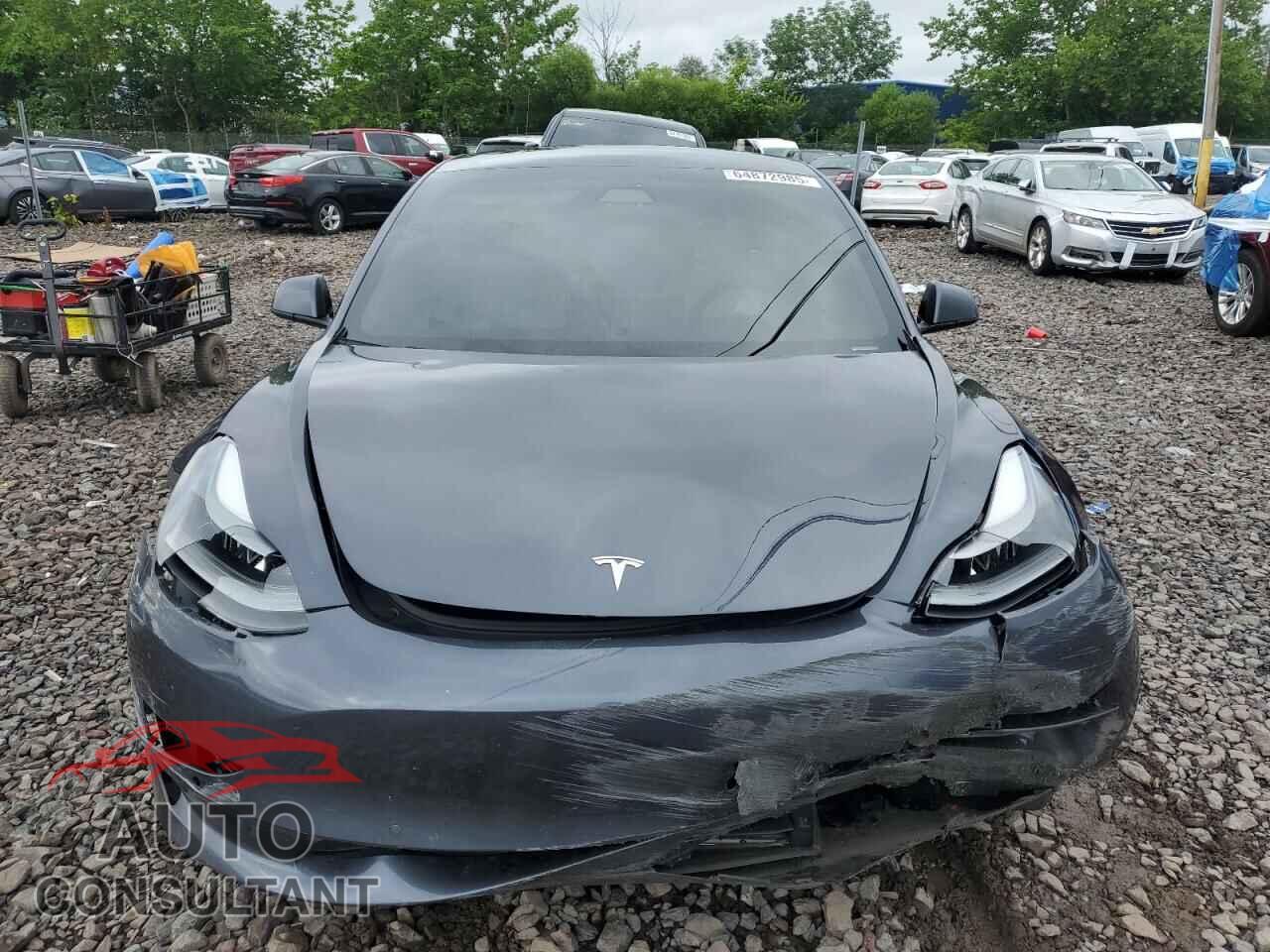 TESLA MODEL 3 2021 - 5YJ3E1EB8MF919248