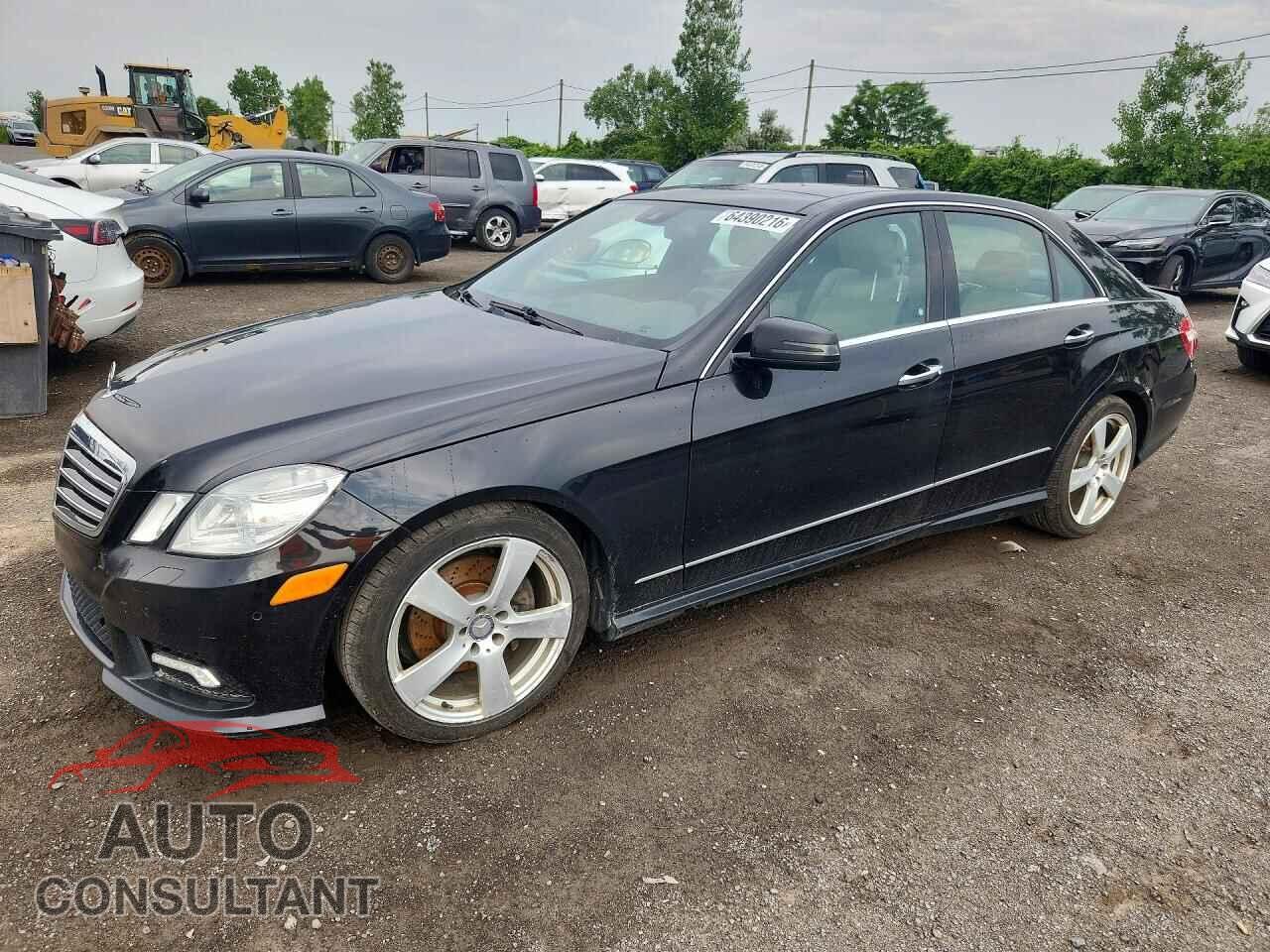 MERCEDES-BENZ E-CLASS 2010 - WDDHF8HB3AA145198