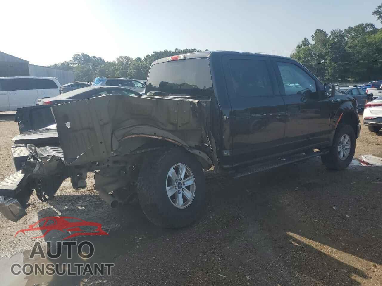 FORD F-150 2015 - 1FTEW1EF4FFA93604