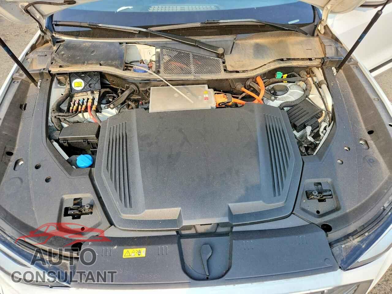 AUDI E-TRON 2019 - WA1LAAGE3KB022609