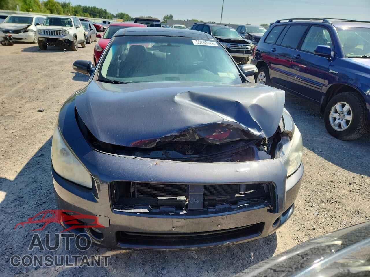 NISSAN MAXIMA 2011 - 1N4AA5AP2BC833896