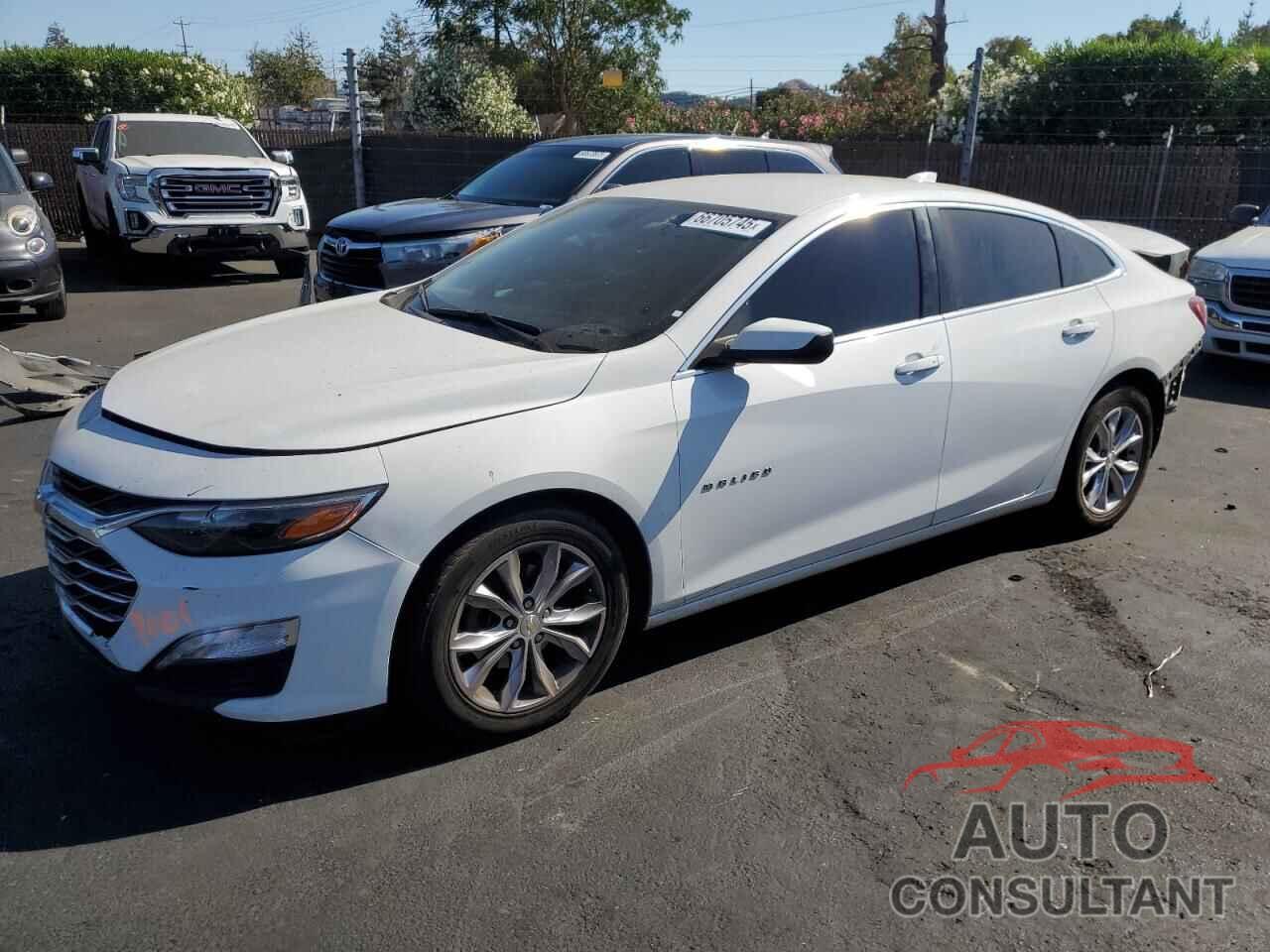 CHEVROLET MALIBU 2019 - 1G1ZD5ST7KF111878