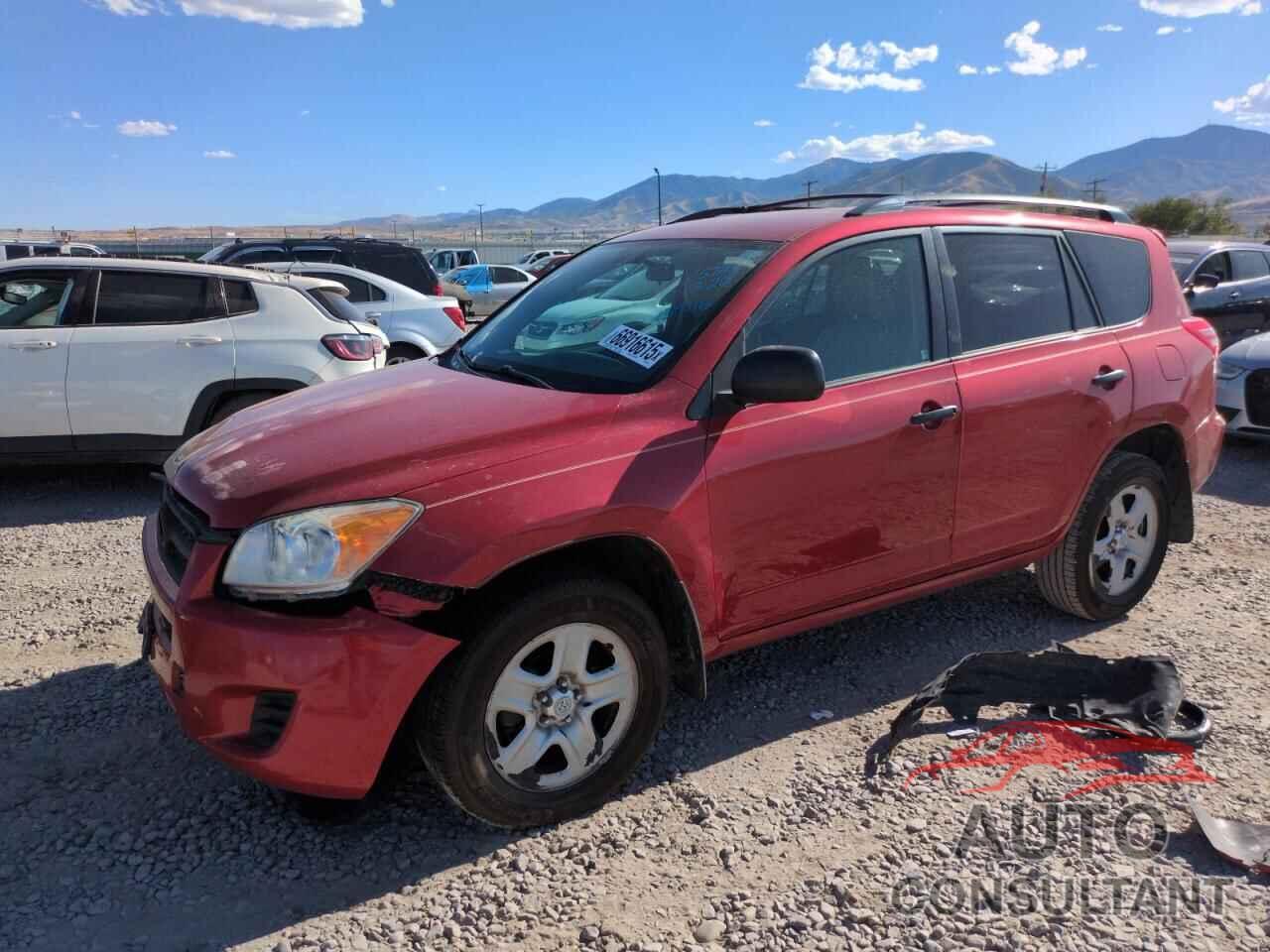 TOYOTA RAV4 2011 - 2T3BF4DV6BW139116