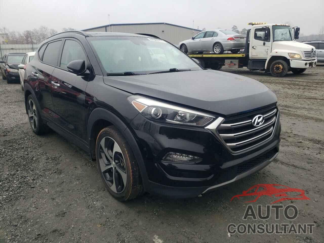 HYUNDAI TUCSON 2016 - KM8J33A24GU053442