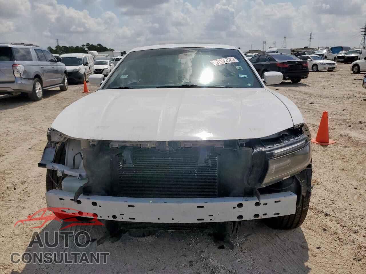 DODGE CHARGER 2019 - 2C3CDXBG7KH727966