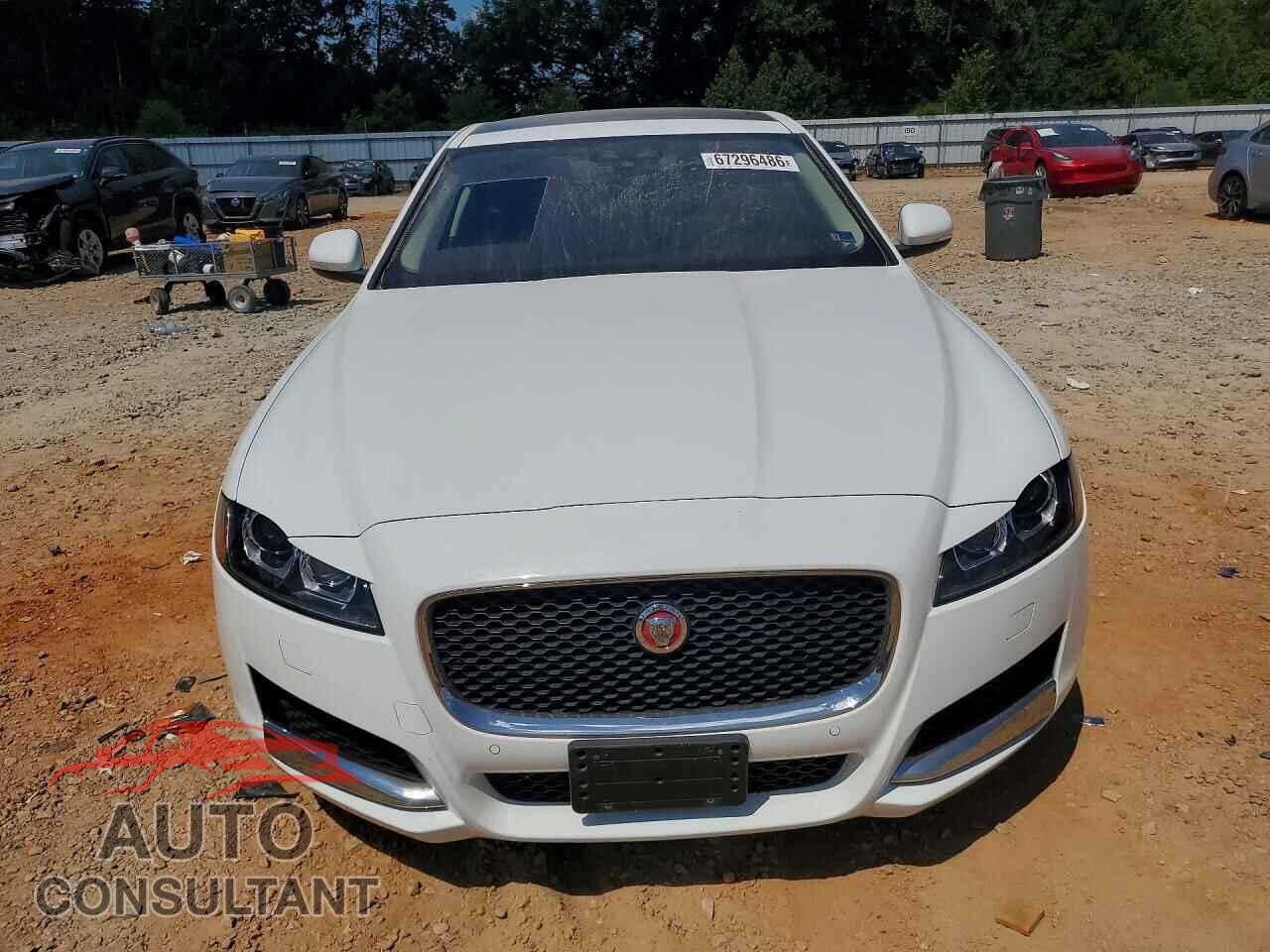 JAGUAR XF 2016 - SAJBK4BV7GCY20377
