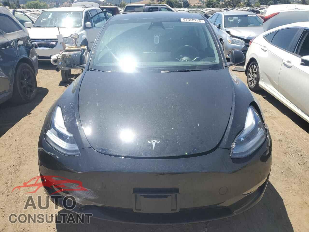 TESLA MODEL Y 2024 - 7SAYGDEF2RF199217