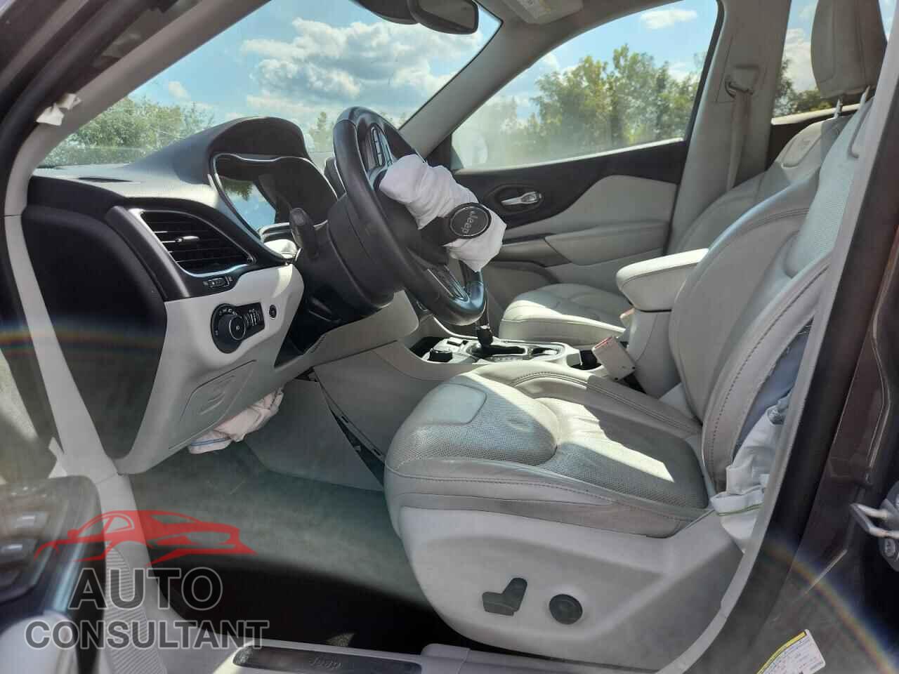JEEP CHEROKEE 2019 - 1C4PJMDX1KD382853