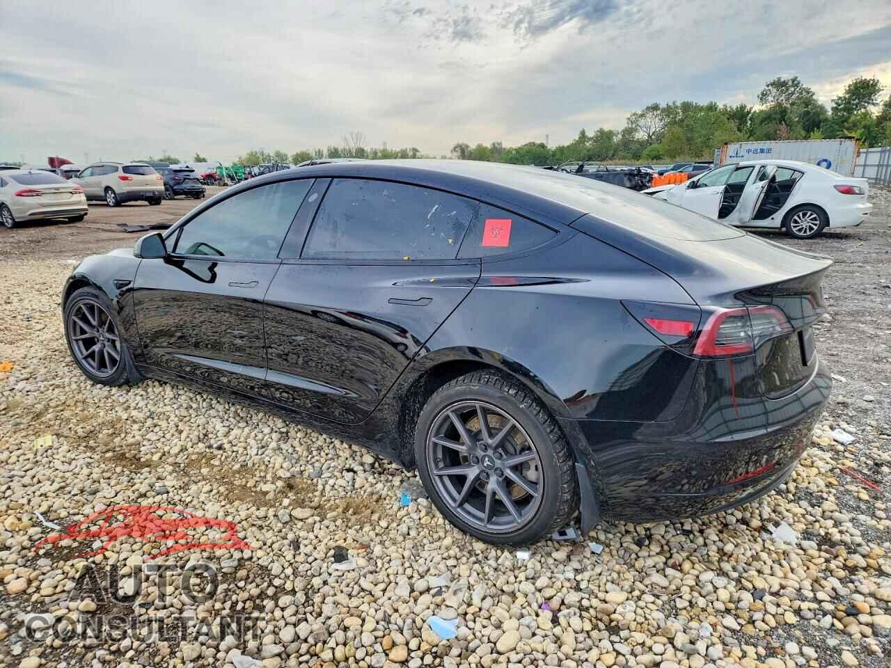 TESLA MODEL 3 2021 - 5YJ3E1EA7MF991095