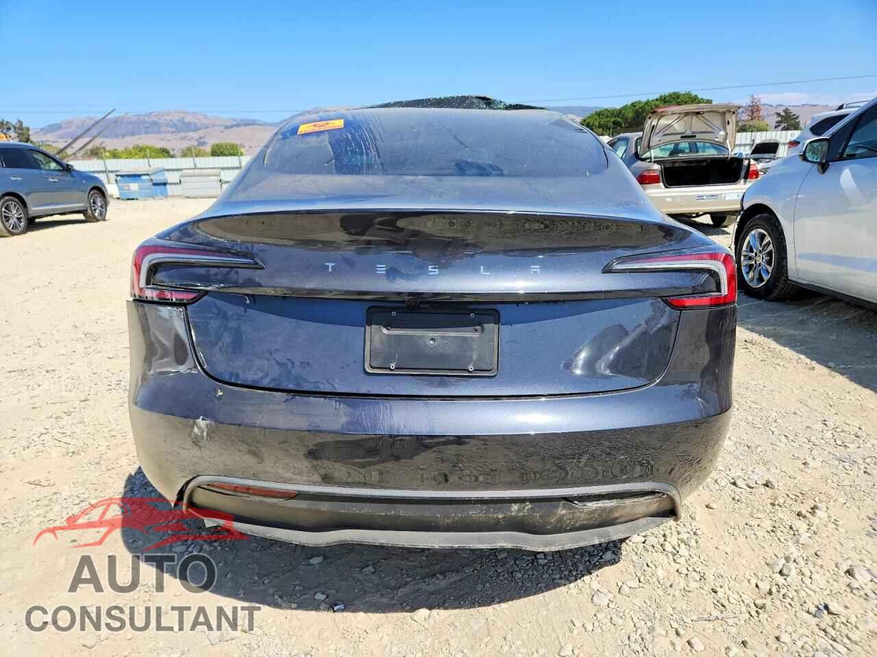 TESLA MODEL 3 2025 - 5YJ3E1EA7SF917074