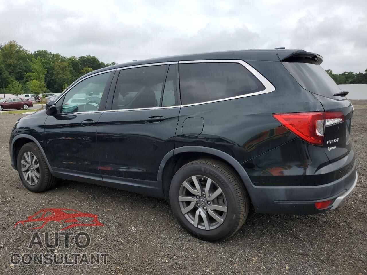 HONDA PILOT 2019 - 5FNYF5H31KB038516
