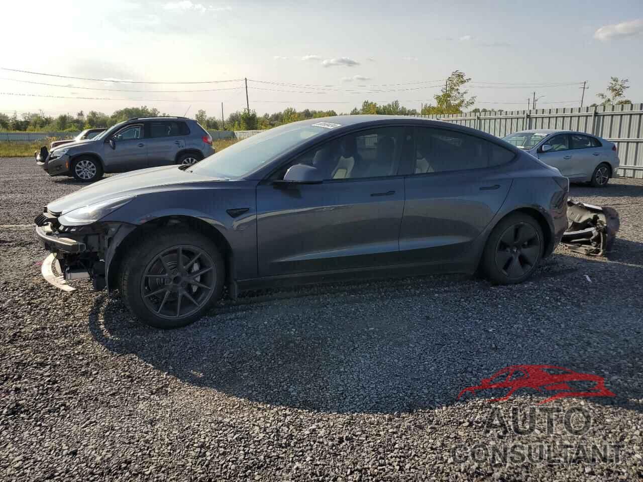 TESLA MODEL 3 2021 - 5YJ3E1EA5MF938525