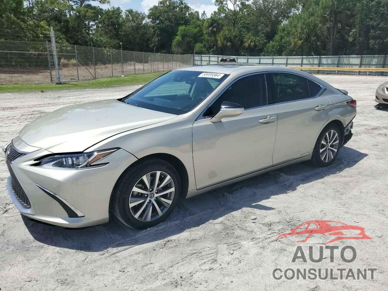 LEXUS ES300 2020 - 58AD21B19LU012172