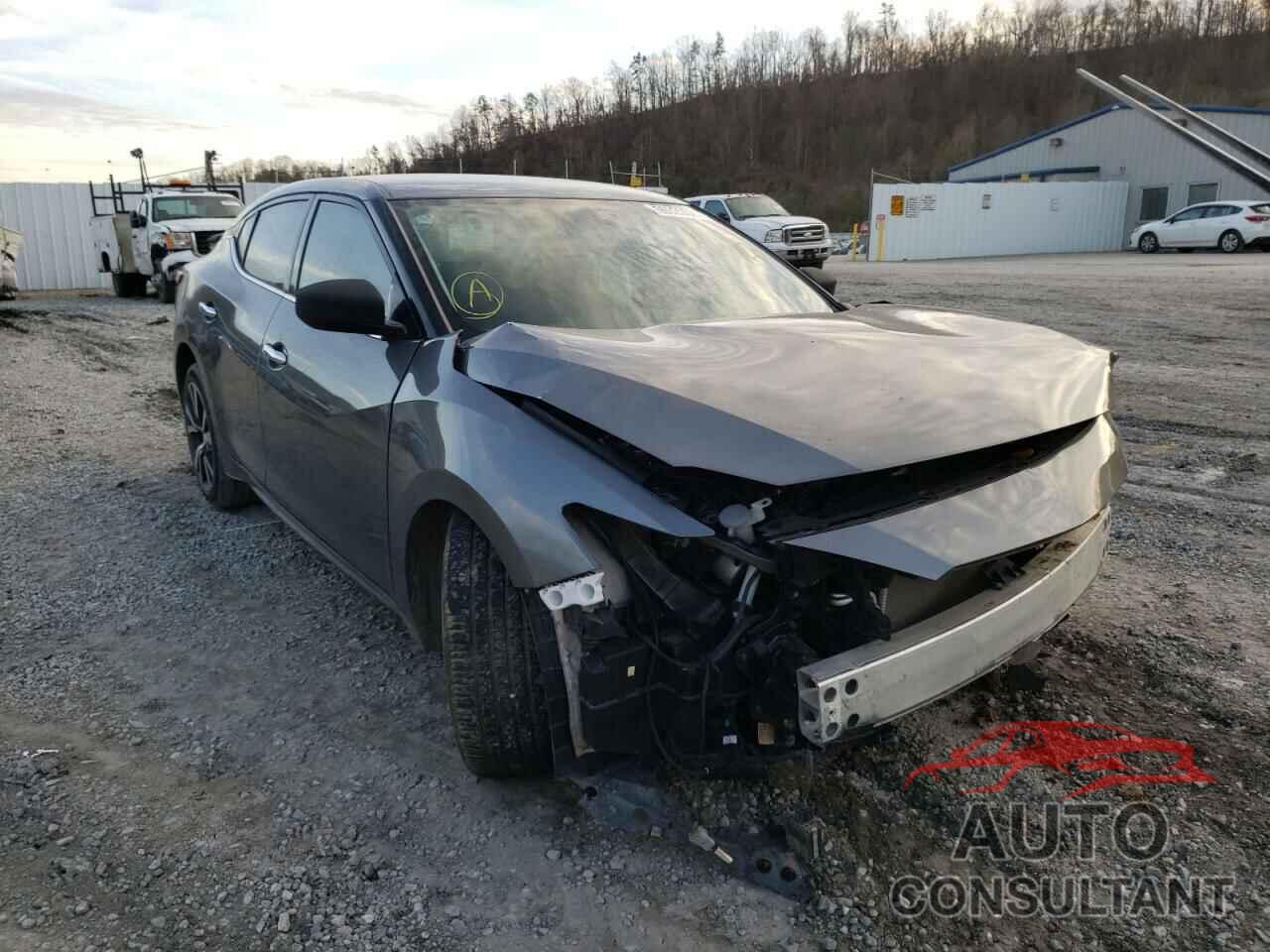 NISSAN MAXIMA 2017 - 1N4AA6AP8HC438605