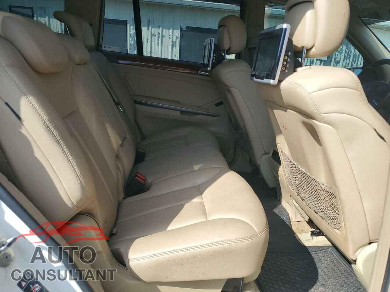 MERCEDES-BENZ GL-CLASS 2009 - 4JGBF25E09A487145