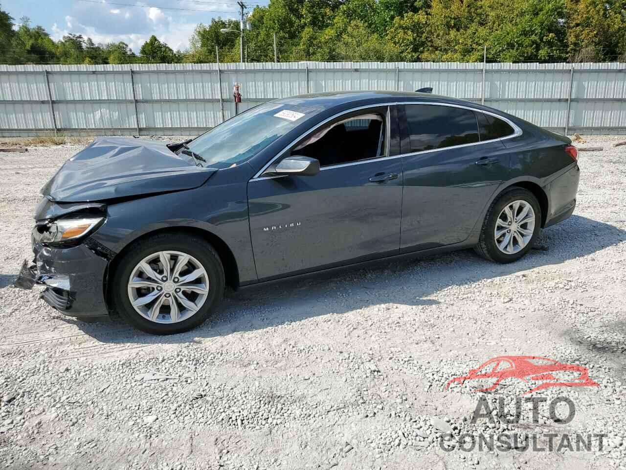 CHEVROLET MALIBU 2019 - 1G1ZD5ST1KF164284