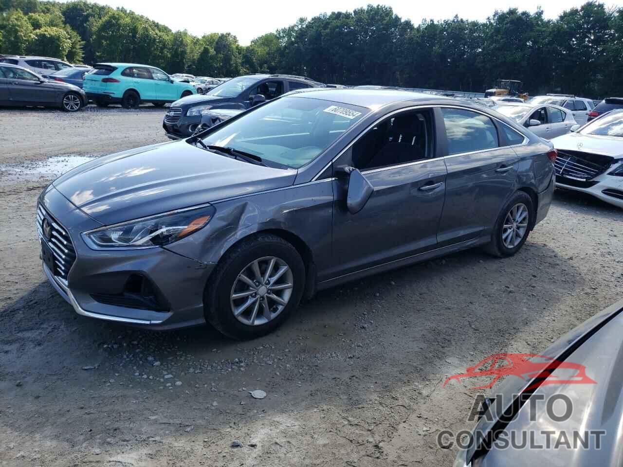 HYUNDAI SONATA 2018 - 5NPE24AF7JH666075