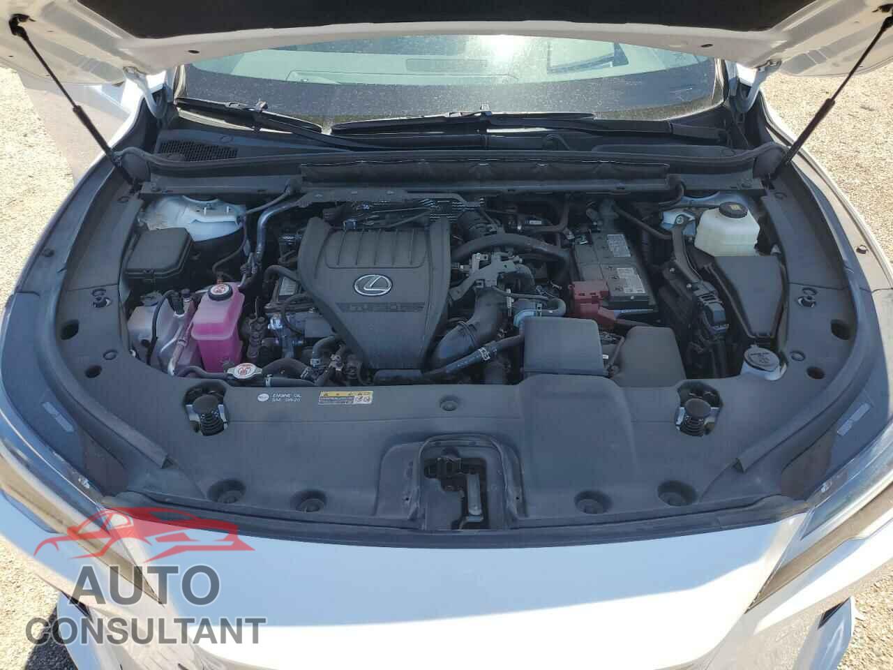 LEXUS RX350 2023 - 2T2BAMCA3PC033491